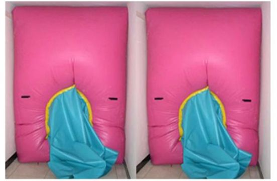 點擊查看詳細信息<br>標題：快速封堵氣囊 閱讀次數(shù)：2804