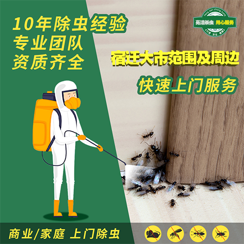 「殺蟲(chóng)劑」噴殺蟲(chóng)劑：忽略這些技巧，就等于白噴