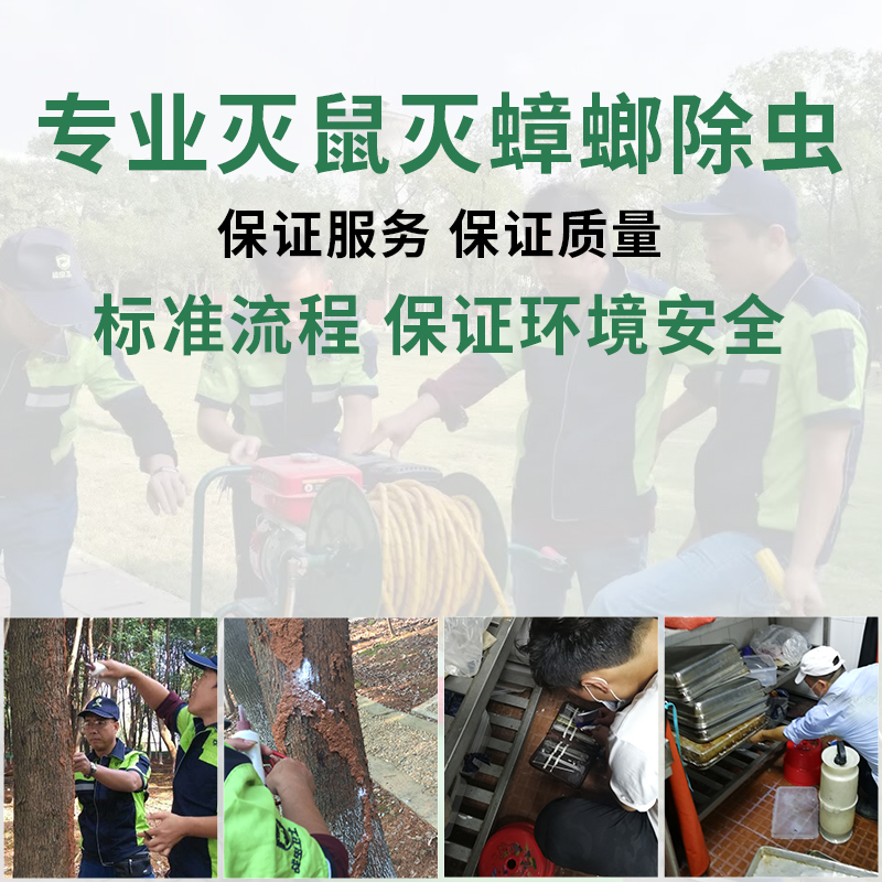 宿遷專業(yè)殺蟲.jpg