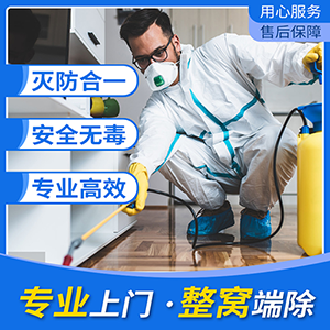 宿遷殺蟲(chóng)公司滅蟑螂有哪些方法？