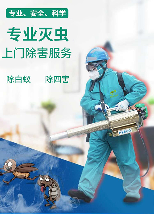 宿遷消殺服務(wù),除四害公司-上門殺蟲/滅鼠/蟑螂/螞蟻/蚊蠅服務(wù) 宿遷消殺服務(wù),除四害公司-上門殺蟲/滅鼠/蟑螂/螞蟻/蚊蠅服務(wù)