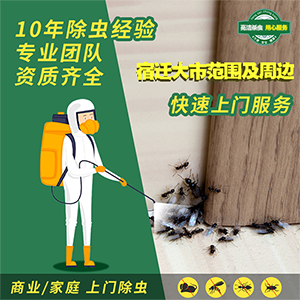 老鼠是不是引起這次西安出血熱疫情的罪魁禍首