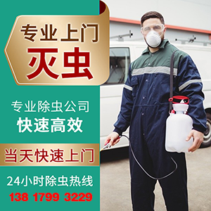 天氣回暖宿遷蟲(chóng)控消殺除四害提前做好預(yù)防